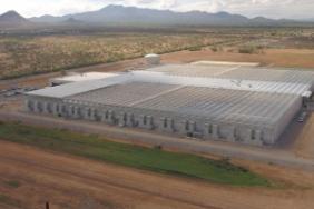 Bayer to Advance More Sustainable Agricultural Solutions Utilizing New Innovative Greenhouses in Marana, Arizona Image.
