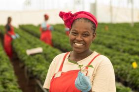Fairtrade International and U.S. Chapter Fairtrade America Named Top Certification in Its Category  Image