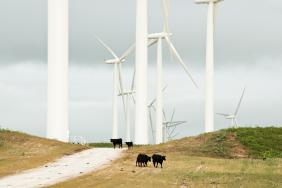 ‘Minnesota CSR & Sustainability Stories’ Forum set for Dec. 14 Image.