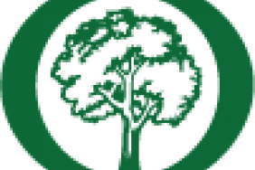 Arbor Day Foundation Announces 2020 Arbor Day Award Winners Image.