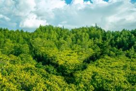 Johnson & Johnson Recognized in the U.S. by ENERGY STAR as a “Partner Leader on Climate" Image