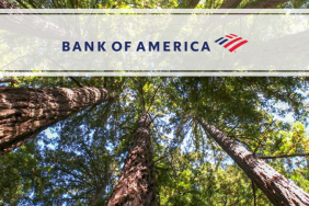 Arbor Day Foundation and Bank of America Drive Local Climate Resiliency Initiatives Image.