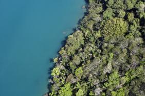 Cargill’s Progress on Building Deforestation-Free Supply Chains Outlined in New Report Image.
