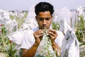 Increasing Food Security Through Improved Seed Quality in Bangladesh Image.