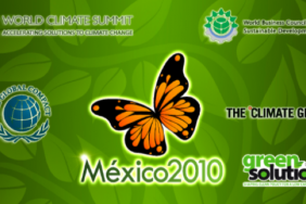 Businesses Join Together to Drive Global Climate Protection at COP16 Image.
