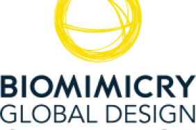 Designing New Climate Change Solutions, With Inspiration That Is Millions of Years Old Image.