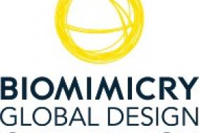Five Nature-Inspired Climate Change Solutions Advance to Entrepreneurship Accelerator Image.