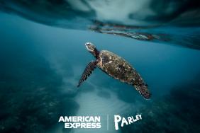 American Express and Parley for the Oceans Announce First-Ever Card Made Primarily With Reclaimed Plastic From Parley and Launch a Global Campaign to #BackOurOceans Image.