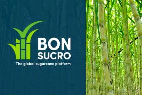 SCS Global Services Is Now a Bonsucro Licensed Training Provider Image