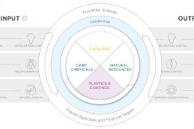 Sustainserv Supports Integrated Report for Global Chemical Company  Image.