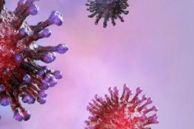 Keys to Accelerating Your COVID-19 Drug Campaign Image.