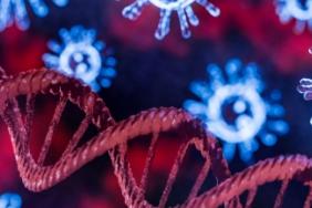 Preventing the Next Pandemic: mRNA Vaccines and siRNA oligo Therapies Image.