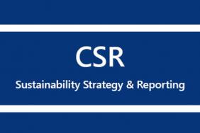 CSR Sustainability Strategy & Reporting Workshop Image.