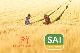 Field to Market and SAI Platform Announce First Use of Joint Equivalency Module by Leading Food Companies Image