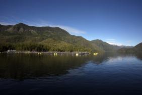 Commitment Moves to Achievement as B.C. Celebrates Two Further ASC Certified Salmon Farms Image.