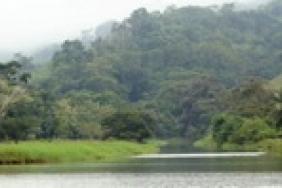 Anthrotect Delivers a Validated Carbon Offset Project in Colombia by Reducing Emissions from Deforestation & Degradation (REDD) Using Climate, Community, & Biodiversity Project Standards Image.