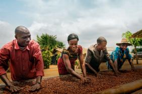 Cargill Cocoa Promise Report Charts Clear Path Toward Cocoa Sustainability Image.