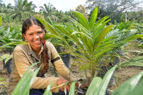 Cargill and Solidaridad Establish Palm Oil Sustainability Program in Colombia Image.