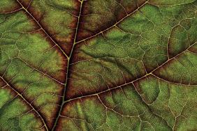 Ryder Publishes 2011 Corporate Sustainability Report Image.