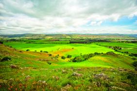 Public-Private Conservation Partnership Preserves 937 Acres in Coyote Valley Image