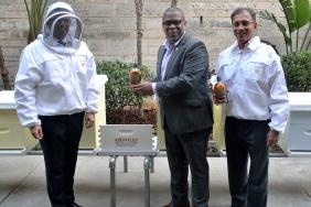 Bacardi Honors ABERFELDY's Barrels & Bees Program With Hive Installation at Global Headquarters Image.