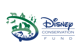 The Disney Conservation Fund Awards 2018 Conservation Grants Image