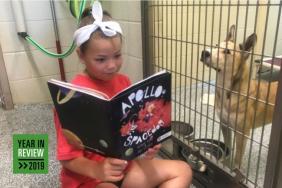 International Paper Debuts Original Children’s Book as Part of Accent On: Reading Program Image.