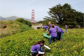 FedEx and NFWF Target Urban Restoration  Image.