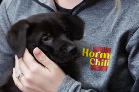 The Makers of HORMEL® Chili Partner with Mower County Humane Society on Adoption of “Chili” and Her Six Puppies Image