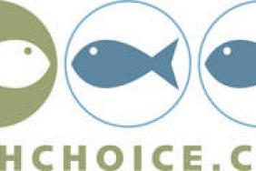 FishChoice.com Provides Commercial Solutions to the Problem of Declining Oceans Image.