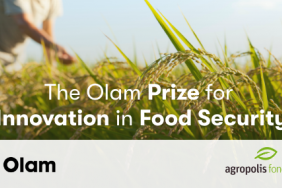 Olam to Speed Innovation to Address Global Food Security Image