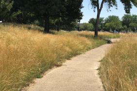 HP Inc.’s Boise Idaho Campus Awarded SITES Gold for Achievement in Landscape Sustainability Image