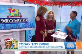 Mary Kay® Donates $3 Million to Today Show Toy Drive Image.