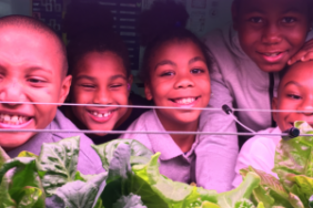 Hydro Gardening Increases Students' Interest in STEM: An Update on Our Pilot Project Image