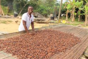 Empowering Women Through Sustainable Cocoa Farming Image