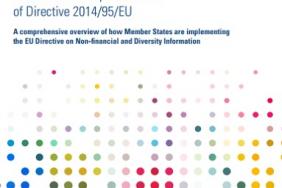 Global Sustain Contributes to Member States Implementation Report of the EU Non-Financial Reporting Directive Image.