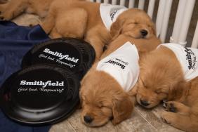 Smithfield Foods Supports Veterans with $25,000 Contribution to Warrior Canine Connection Image.
