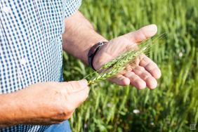 Pipeline Foods Launches Sustainability Program Image