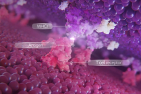 4 Questions for a Scientist Working on a Revolutionary CAR-T Therapy for Multiple Myeloma Image.