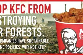 Dogwood Alliance Calls on KFC to Lead Fast Food Industry in Adopting Sustainable Paper Packaging Policies and Stop the Destruction of Southern Forests Image.