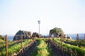 Jackson Family Wines Announces Progress on Land Conservation & Restoration Image