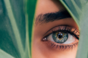 L'Oréal Launches Project to Help with Sustainable Transformation Image.