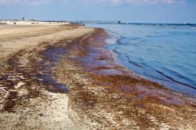 Call for Participation: Gulf Coast Rising Image.