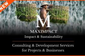 Capacity Building for Projects and Businesses: Image.