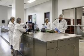 Plant-Based Food Manufacturing: Hopping on the Plant-Based Train Image.