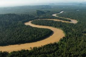 Nestlé Joins the ‘One Planet Business for Biodiversity’ Coalition to Promote Biodiversity Image.