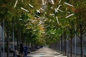 Discovery Green Unveils New Grand Allée, a Green Mountain Energy Sun Club Sustainability Project Image