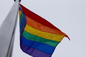 Waving the Pride Flag Image.