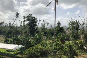 Hurricane Recovery Assistance Still Available for Military Families Image.