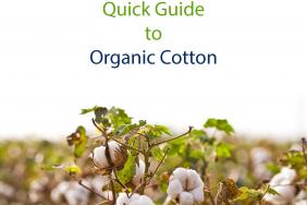 What You Wear Matters! Quick Guide to Organic Cotton Image.